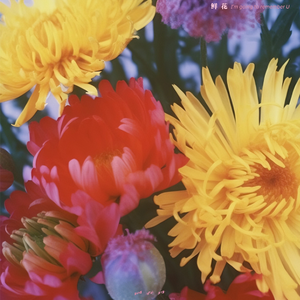 欧美性爱亚洲色图网友自拍
